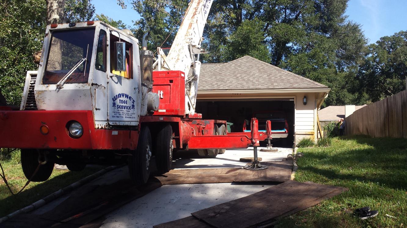 Waynes Tree Service Jacksonville - Callahan (4)
